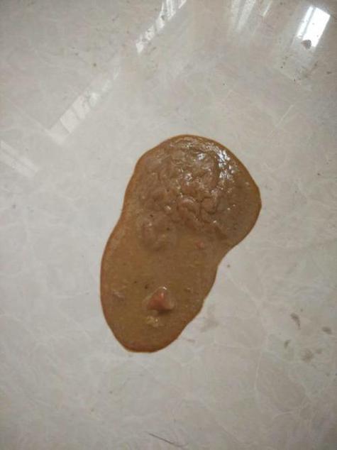 吃奶的狗狗拉稀怎么办，吃奶小狗拉什么屎正常？-第3张图片-后鲨宠物