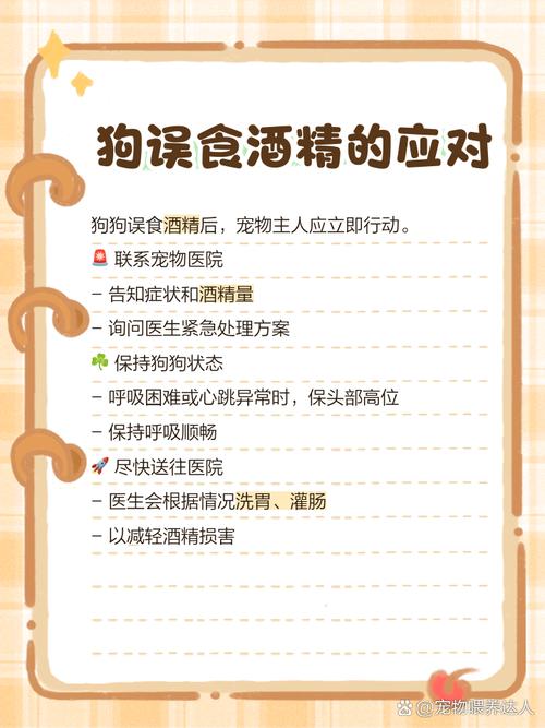 狗狗喝了酒会怎样，狗狗喝了酒会怎么办？-第2张图片-后鲨宠物