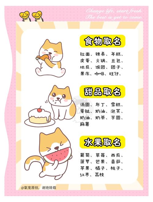 给猫咪起名字大全,猫咪起名字大全可爱的招财-第4张图片-后鲨宠物 给猫咪起名字大全,猫咪起名字大全可爱的招财-第4张图片-后鲨宠物
