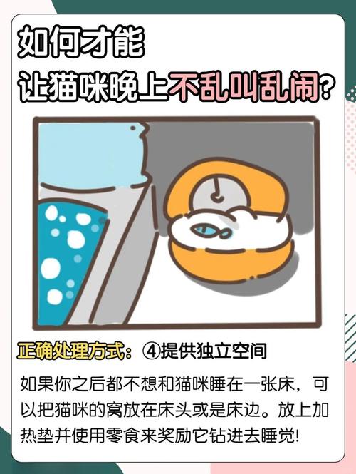 如何让猫咪晚上不闹腾,怎样让猫晚上不乱叫-第5张图片-后鲨宠物 如何让猫咪晚上不闹腾,怎样让猫晚上不乱叫-第5张图片-后鲨宠物