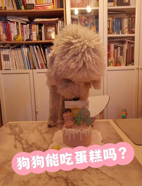 狗狗可以吃鸡蛋糕吗,狗狗可以吃鸡蛋糕拌饭么?-第3张图片-后鲨宠物 狗狗可以吃鸡蛋糕吗,狗狗可以吃鸡蛋糕拌饭么?-第3张图片-后鲨宠物