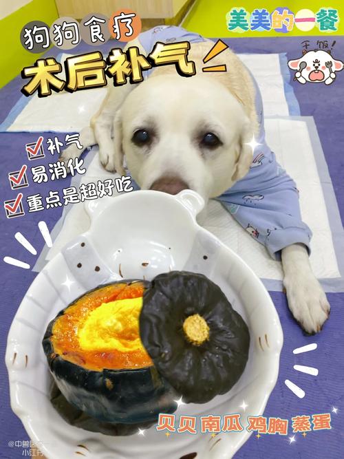 狗狗可以吃鸡蛋糕吗,狗狗可以吃鸡蛋糕拌饭么?-第5张图片-后鲨宠物 狗狗可以吃鸡蛋糕吗,狗狗可以吃鸡蛋糕拌饭么?-第5张图片-后鲨宠物