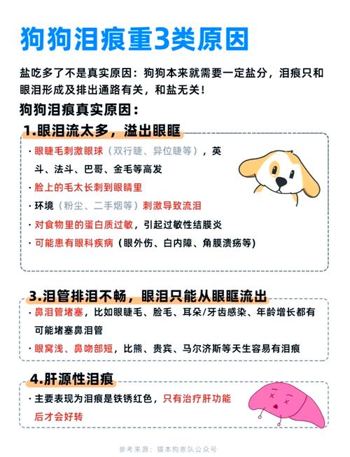  狗狗泪痕严重怎么办，狗狗泪痕怎么处理