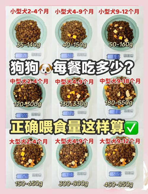 狗狗可以吃扑尔敏吗_狗狗可以吃扑尔敏吗安全吗-第2张图片-后鲨宠物