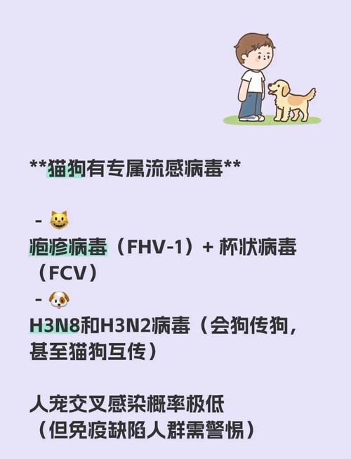 感冒会传染给狗狗吗,狗狗感冒了能自愈吗?-第6张图片-后鲨宠物 感冒会传染给狗狗吗,狗狗感冒了能自愈吗?-第6张图片-后鲨宠物