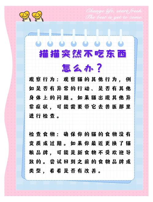 猫咪生病不吃东西怎么办,猫咪生病不吃东西怎么办视频?-第3张图片-后鲨宠物 猫咪生病不吃东西怎么办,猫咪生病不吃东西怎么办视频?-第3张图片-后鲨宠物