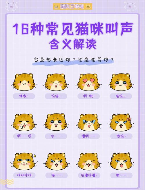 猫咪开心的叫声_放一段安抚猫咪的声音-第1张图片-后鲨宠物 猫咪开心的叫声_放一段安抚猫咪的声音-第1张图片-后鲨宠物