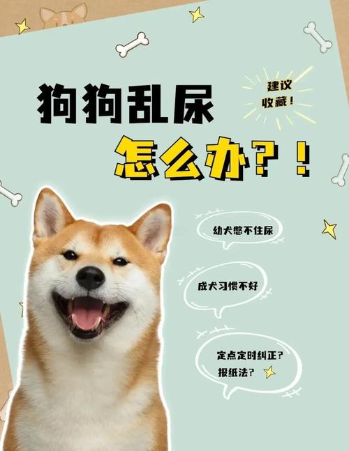 狗狗大小便怎么解决,狗狗大小便怎么解决问题?-第5张图片-后鲨宠物 狗狗大小便怎么解决,狗狗大小便怎么解决问题?-第5张图片-后鲨宠物