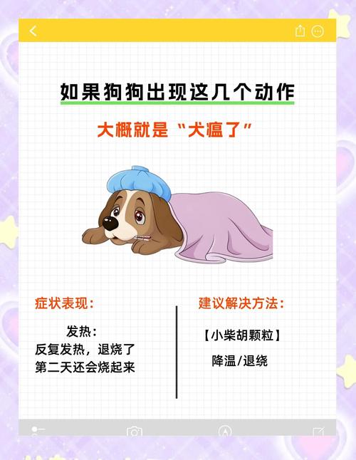 狗狗的正常温度是多少_狗狗得正常温度-第1张图片-后鲨宠物 狗狗的正常温度是多少_狗狗得正常温度-第1张图片-后鲨宠物