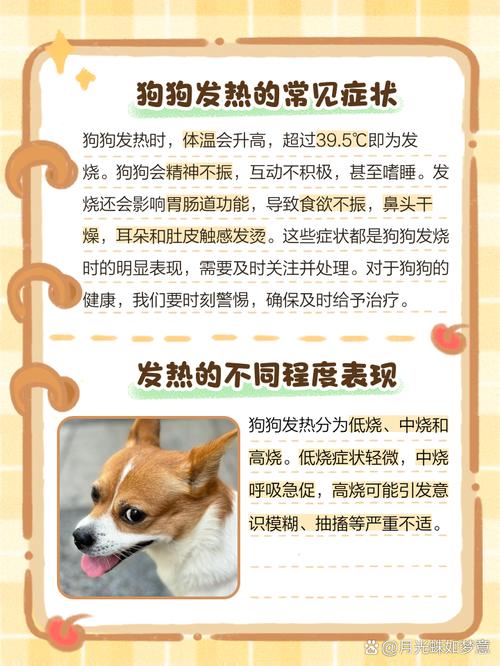 狗狗的正常温度是多少_狗狗得正常温度-第2张图片-后鲨宠物 狗狗的正常温度是多少_狗狗得正常温度-第2张图片-后鲨宠物