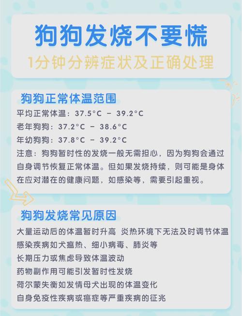 狗狗的正常温度是多少_狗狗得正常温度-第6张图片-后鲨宠物 狗狗的正常温度是多少_狗狗得正常温度-第6张图片-后鲨宠物
