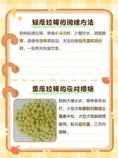 二个月狗狗拉稀怎么办_两个月狗拉稀了该怎么办-第3张图片-后鲨宠物 二个月狗狗拉稀怎么办_两个月狗拉稀了该怎么办-第3张图片-后鲨宠物