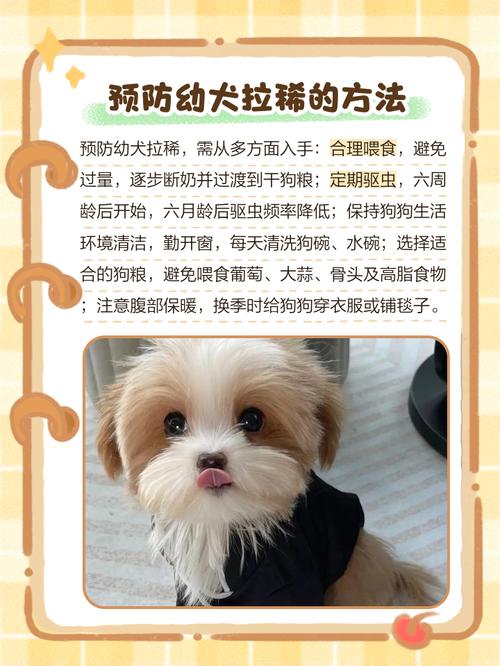 二个月狗狗拉稀怎么办_两个月狗拉稀了该怎么办-第2张图片-后鲨宠物 二个月狗狗拉稀怎么办_两个月狗拉稀了该怎么办-第2张图片-后鲨宠物