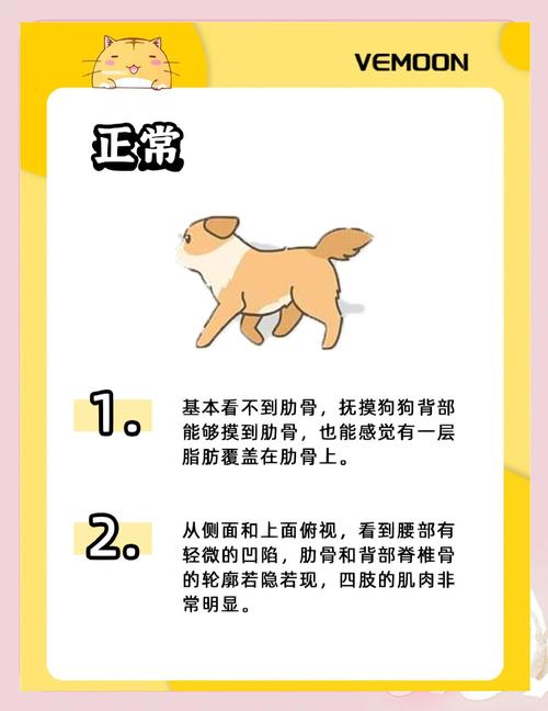 怎么让狗狗长胖，怎么让狗狗长胖起来？