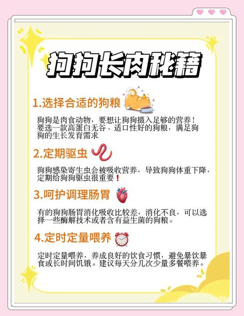 怎么让狗狗长胖,怎么让狗狗长胖起来?-第4张图片-后鲨宠物 怎么让狗狗长胖,怎么让狗狗长胖起来?-第4张图片-后鲨宠物