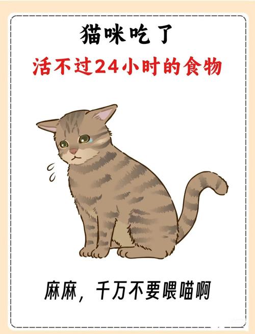 猫猫不能吃的东西_猫猫不能吃的东西有什么-第4张图片-后鲨宠物