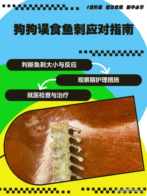 狗狗可以吃鱼刺吗_狗狗可以吃鱼吗鱼刺能卡住他吗-第4张图片-后鲨宠物 狗狗可以吃鱼刺吗_狗狗可以吃鱼吗鱼刺能卡住他吗-第4张图片-后鲨宠物