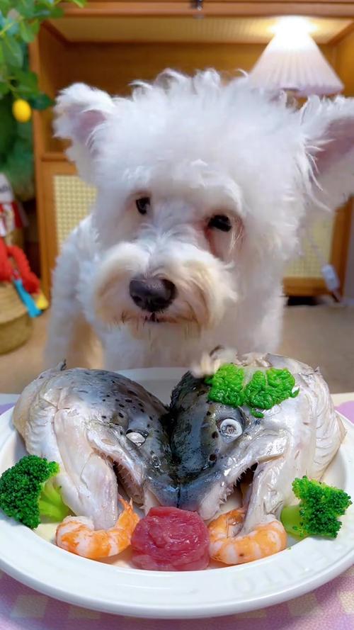 狗狗吃了生鱼会生病吗，狗狗吃了生鱼会怎么样？