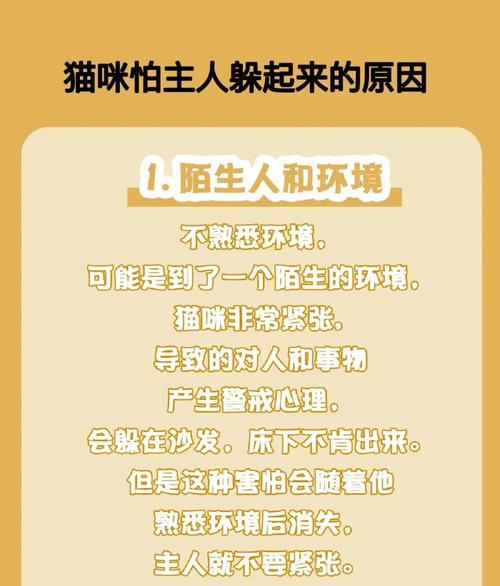 猫咪害怕主人的表现_猫害怕主人的五件事-第6张图片-后鲨宠物 猫咪害怕主人的表现_猫害怕主人的五件事-第6张图片-后鲨宠物