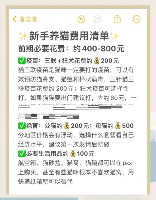 猫咪绝育手术要多少钱,猫咪绝育手术要多少钱费用-第5张图片-后鲨宠物 猫咪绝育手术要多少钱,猫咪绝育手术要多少钱费用-第5张图片-后鲨宠物
