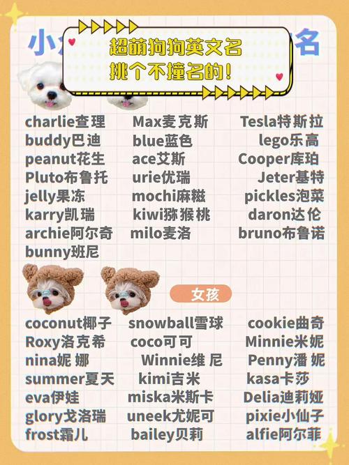 三个字的狗狗名字,3个字的狗狗名字?-第2张图片-后鲨宠物 三个字的狗狗名字,3个字的狗狗名字?-第2张图片-后鲨宠物