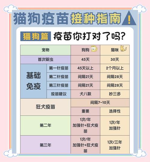 猫咪多大开始打疫苗,家猫为啥不建议打猫三联-第2张图片-后鲨宠物 猫咪多大开始打疫苗,家猫为啥不建议打猫三联-第2张图片-后鲨宠物