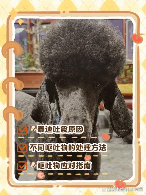 狗狗上吐下泻怎么回事_狗狗上吐下泻吃什么药好得快-第5张图片-后鲨宠物