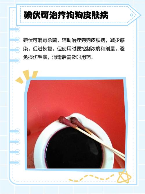 狗狗可以用碘伏吗，可以给狗狗用碘伏吗？