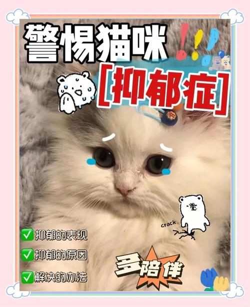 猫咪抑郁的表现,猫咪抑郁的表现有哪些?-第1张图片-后鲨宠物 猫咪抑郁的表现,猫咪抑郁的表现有哪些?-第1张图片-后鲨宠物