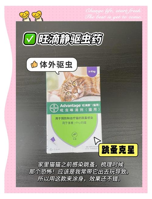 怎样给猫咪驱虫,怎样给猫咪驱虫最有效?-第5张图片-后鲨宠物 怎样给猫咪驱虫,怎样给猫咪驱虫最有效?-第5张图片-后鲨宠物