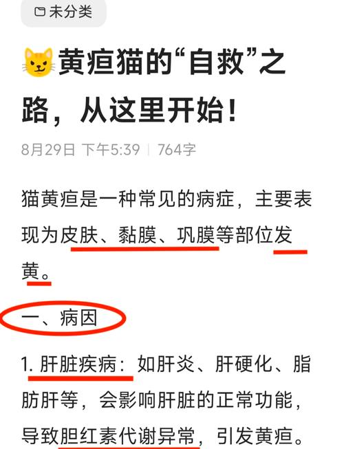 猫咪黄疸是怎么引起的_猫猫黄疸是什么-第1张图片-后鲨宠物 猫咪黄疸是怎么引起的_猫猫黄疸是什么-第1张图片-后鲨宠物