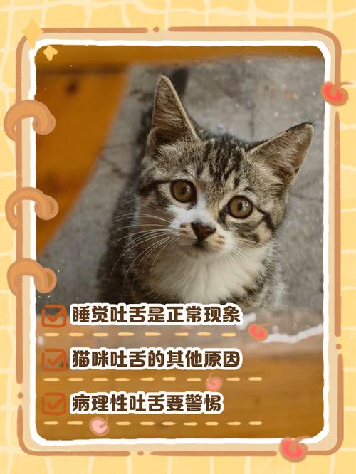 猫咪睡觉伸舌头,猫咪睡觉伸舌头是吉兆还是凶兆?-第1张图片-后鲨宠物 猫咪睡觉伸舌头,猫咪睡觉伸舌头是吉兆还是凶兆?-第1张图片-后鲨宠物