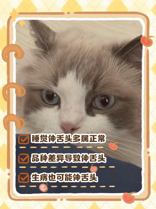 猫咪睡觉伸舌头,猫咪睡觉伸舌头是吉兆还是凶兆?-第4张图片-后鲨宠物 猫咪睡觉伸舌头,猫咪睡觉伸舌头是吉兆还是凶兆?-第4张图片-后鲨宠物