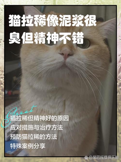 猫咪拉稀像泥浆很臭,猫拉稀呈黄褐色泥浆-第2张图片-后鲨宠物 猫咪拉稀像泥浆很臭,猫拉稀呈黄褐色泥浆-第2张图片-后鲨宠物