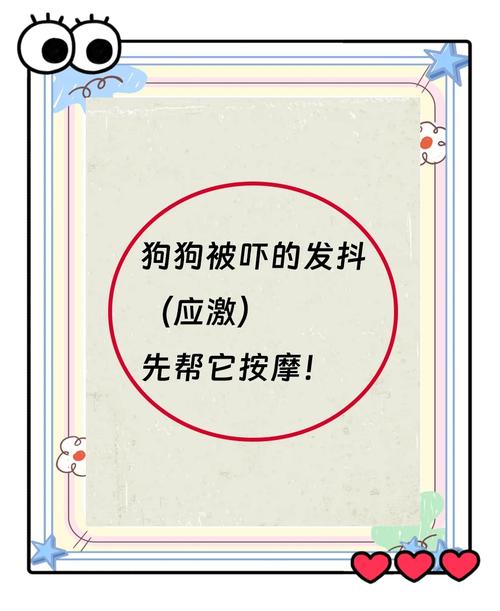 怎么判断狗狗受惊吓了,狗狗受到惊吓后的表现?-第2张图片-后鲨宠物 怎么判断狗狗受惊吓了,狗狗受到惊吓后的表现?-第2张图片-后鲨宠物