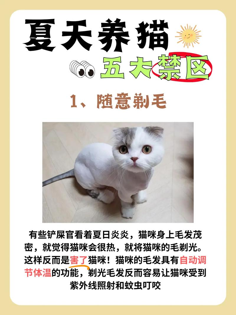 给猫咪剃毛好吗,夏天猫剃毛的好处?-第3张图片-后鲨宠物 给猫咪剃毛好吗,夏天猫剃毛的好处?-第3张图片-后鲨宠物