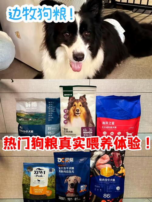 狗狗处方粮什么牌子好,狗狗处方粮什么牌子好吃?-第5张图片-后鲨宠物 狗狗处方粮什么牌子好,狗狗处方粮什么牌子好吃?-第5张图片-后鲨宠物