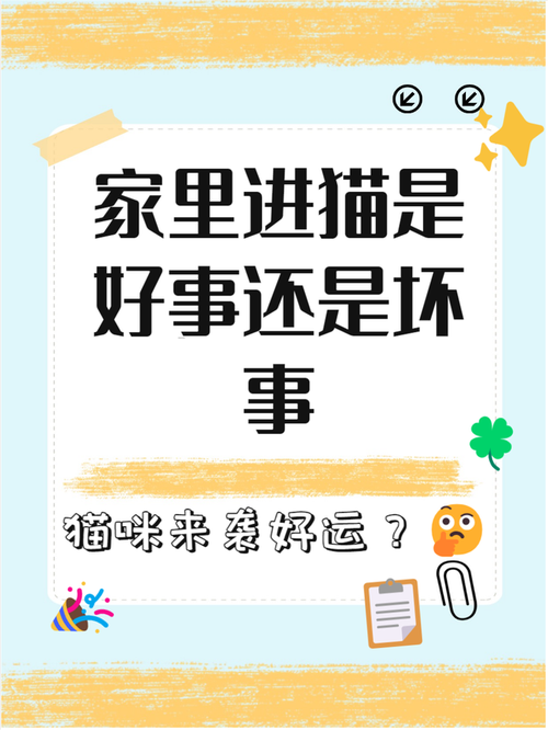 猫咪的寿命是多少年_猫咪认识主人吗?-第1张图片-后鲨宠物 猫咪的寿命是多少年_猫咪认识主人吗?-第1张图片-后鲨宠物