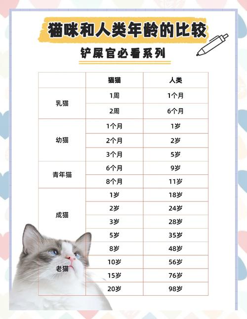 猫咪的寿命是多少年_猫咪认识主人吗?-第5张图片-后鲨宠物 猫咪的寿命是多少年_猫咪认识主人吗?-第5张图片-后鲨宠物