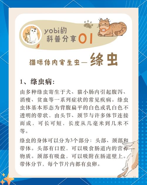 猫咪绦虫怎么治疗,猫咪绦虫治疗多少天-第4张图片-后鲨宠物 猫咪绦虫怎么治疗,猫咪绦虫治疗多少天-第4张图片-后鲨宠物