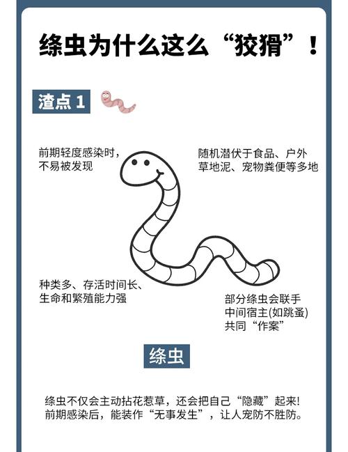 猫咪绦虫怎么治疗,猫咪绦虫治疗多少天-第5张图片-后鲨宠物 猫咪绦虫怎么治疗,猫咪绦虫治疗多少天-第5张图片-后鲨宠物