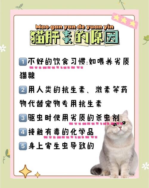 猫咪能吃肝脏吗,猫可以吃肝脏么-第3张图片-后鲨宠物 猫咪能吃肝脏吗,猫可以吃肝脏么-第3张图片-后鲨宠物