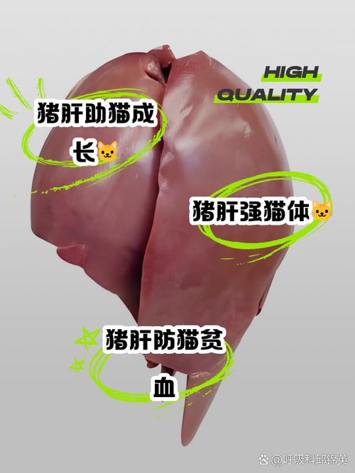 猫咪能吃肝脏吗,猫可以吃肝脏么-第6张图片-后鲨宠物 猫咪能吃肝脏吗,猫可以吃肝脏么-第6张图片-后鲨宠物