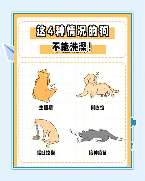 狗狗拉肚子可以洗澡吗_狗狗拉肚子可以洗澡吗?-第2张图片-后鲨宠物 狗狗拉肚子可以洗澡吗_狗狗拉肚子可以洗澡吗?-第2张图片-后鲨宠物