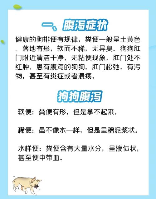 狗狗拉肚子可以洗澡吗_狗狗拉肚子可以洗澡吗?-第5张图片-后鲨宠物 狗狗拉肚子可以洗澡吗_狗狗拉肚子可以洗澡吗?-第5张图片-后鲨宠物