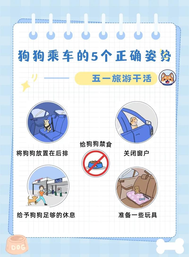 狗狗能坐副驾驶吗_狗狗能坐副驾驶么-第4张图片-后鲨宠物 狗狗能坐副驾驶吗_狗狗能坐副驾驶么-第4张图片-后鲨宠物