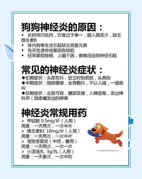 狗狗脑炎吃什么药_狗狗得脑炎的症状-第1张图片-后鲨宠物 狗狗脑炎吃什么药_狗狗得脑炎的症状-第1张图片-后鲨宠物