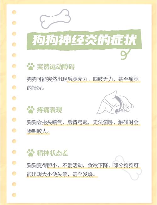 狗狗脑炎吃什么药_狗狗得脑炎的症状-第2张图片-后鲨宠物 狗狗脑炎吃什么药_狗狗得脑炎的症状-第2张图片-后鲨宠物