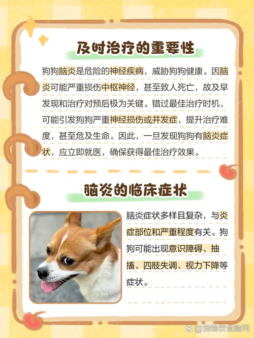 狗狗脑炎吃什么药_狗狗得脑炎的症状-第3张图片-后鲨宠物 狗狗脑炎吃什么药_狗狗得脑炎的症状-第3张图片-后鲨宠物