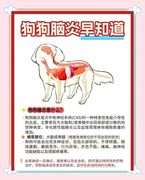 狗狗脑炎吃什么药_狗狗得脑炎的症状-第5张图片-后鲨宠物 狗狗脑炎吃什么药_狗狗得脑炎的症状-第5张图片-后鲨宠物